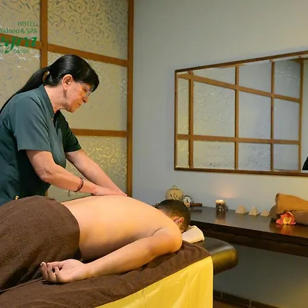 Allegra Balneo & Spa 4 Stars Hotell *