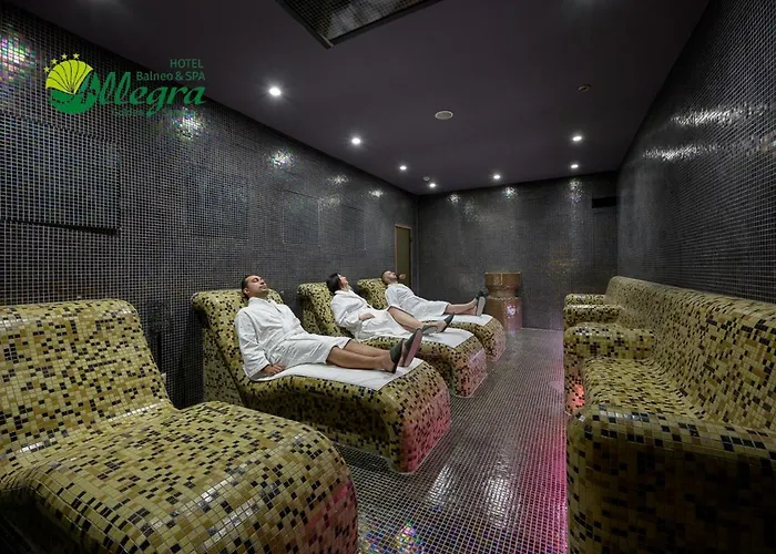 Allegra Balneo & Spa 4 Stars 호텔 *